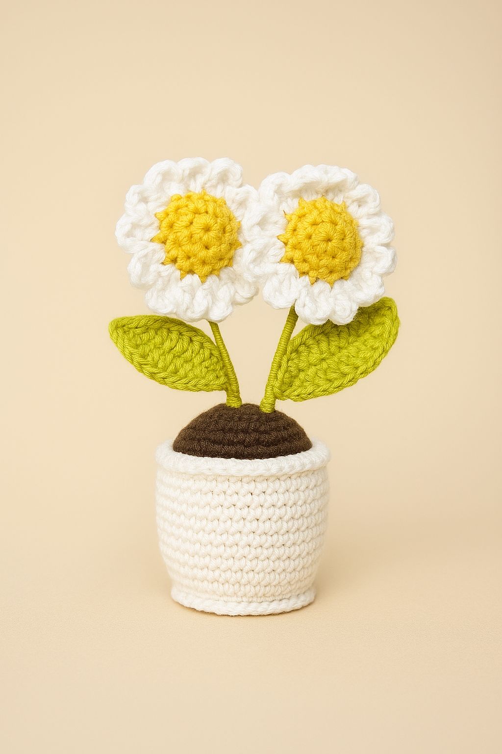 Crochet Daisies Planter β 12 Inches