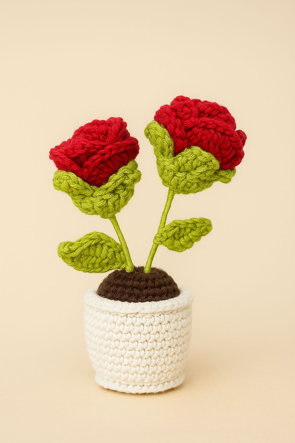 Crochet Rose Planter β 12 Inches